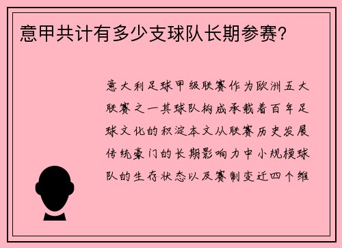 意甲共计有多少支球队长期参赛？