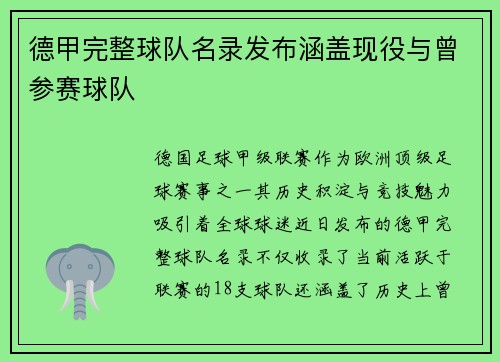 德甲完整球队名录发布涵盖现役与曾参赛球队